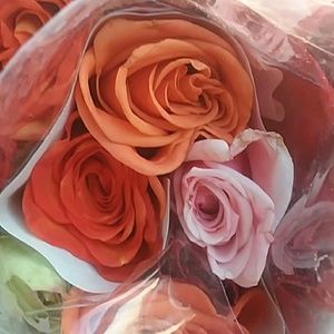 Meet your Posher, Nedra